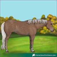 Horse Color:Silver Black 