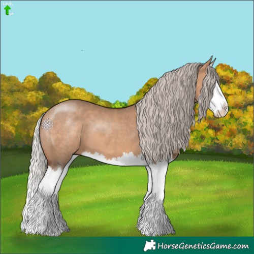 Horse Color:Silver Brown Dun Splash 