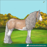 Horse Color:Silver Bay Dun Splash 