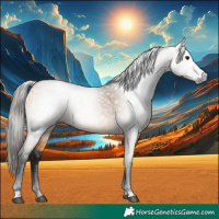 Horse Color:Gray Buckskin 