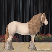 Horse Color:Gold Champagne Roan 
