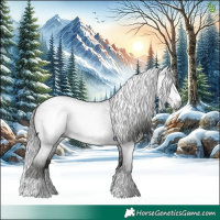 Horse Color:Gray Blue Roan Splash 