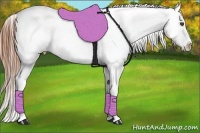 Horse Color:Smoky Black Appaloosa Rabicano