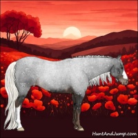 Horse Color:Liver Chestnut Mushroom Appaloosa 