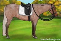 Horse Color:Silver Bay Roan
