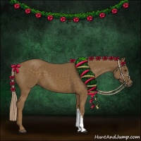 Horse Color:Chocolate Palomino 