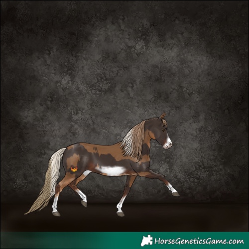 Horse Color:Chocolate Palomino  and Liver Chestnut Frame 