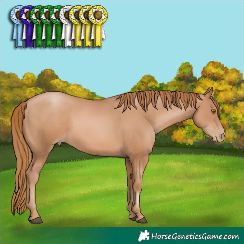 Horse Color:Chestnut Pearl 