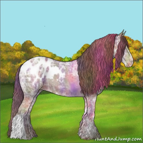 Horse Color:Nacre Classic Champagne Ice Appaloosa 