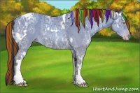 Horse Color:Painted White Spotted Amber Champagne Ice Tobiano