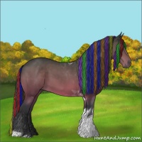 Horse Color:Painted Brown Tobiano 