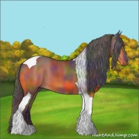 Horse Color:Nacre Brown Tobiano 