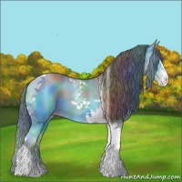 Horse Color:Nacre Classic Champagne Sabino Tobiano 