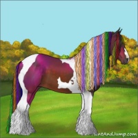 Horse Color:Painted Brown Tobiano