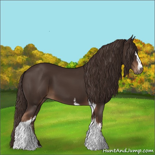 Horse Color:White Spotted Liver Chestnut Tobiano