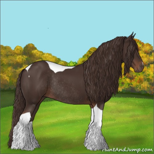 Horse Color:Liver Chestnut Tobiano Rabicano 