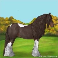 Horse Color:Liver Chestnut Tobiano Rabicano 
