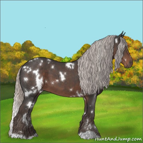 Horse Color:White Spotted Silver Black 