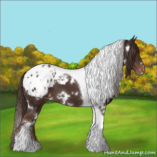 Horse Color:White Spotted Liver Chestnut Tobiano Appaloosa 