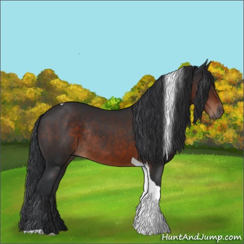 Horse Color:Brown Tobiano Rabicano