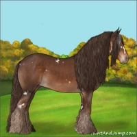 Horse Color:White Spotted Liver Chestnut Tobiano
