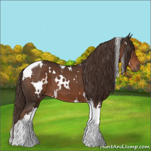Horse Color:White Spotted Liver Chestnut Tobiano 