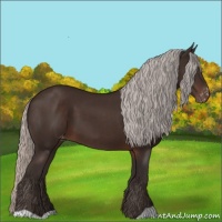 Horse Color:Silver Brown Varnish 