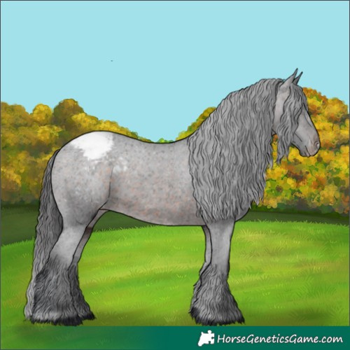 Horse Color:Brown Varnish