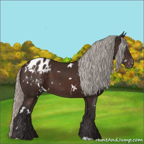 Horse Color:White Spotted Silver Brown Appaloosa