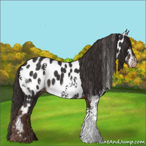 Horse Color:White Spotted Liver Chestnut Near Leopard Rabicano 