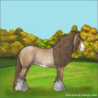 Horse Color:Black Pearl Sabino Rabicano 