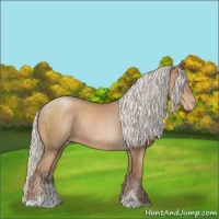 Horse Color:Silver Black Pearl Sabino