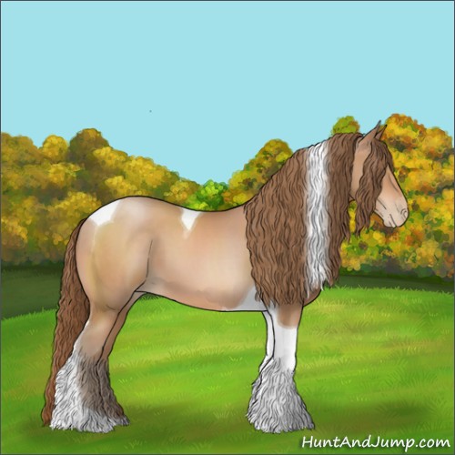 Horse Color:Brown Pearl Tobiano