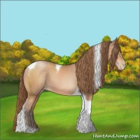 Horse Color:Brown Pearl Tobiano 