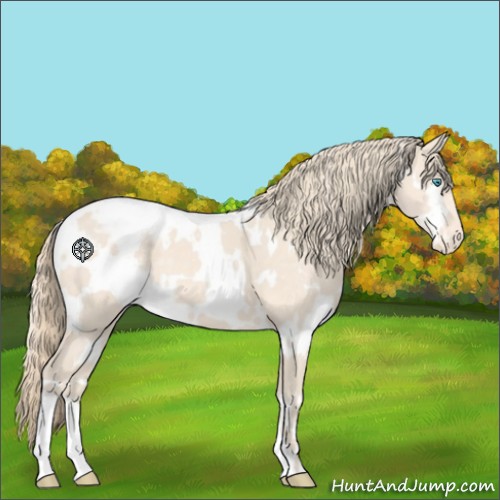 Horse Color:White Spotted Perlino Blanket 
