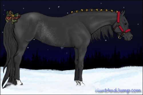 Horse Color:Black and Black Rabicano
