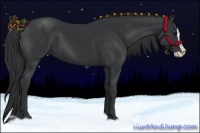 Horse Color:Black Splash and Black Splash