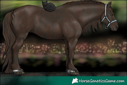Horse Color:Liver Chestnut  and Liver Chestnut 