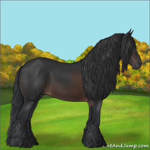 Horse Color:Brown 