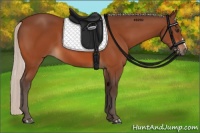 Horse Color:Silver Brown 