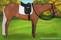 Horse Color:Silver Bay