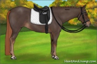 Horse Color:Liver Red Roan  and Liver Red Roan 