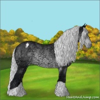 Horse Color:Silver Brown Chinchilla Ice Appaloosa