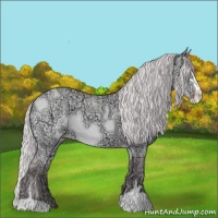 Horse Color:Chocolate Silver Sable Champagne Chinchilla Ice Sabino