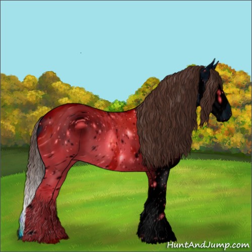 Horse Color:ERROR: UNKNOWN ANOMALY
