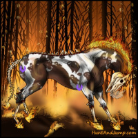 Horse Color:Bay Tobiano 