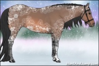 Horse Color:Bay Ice 