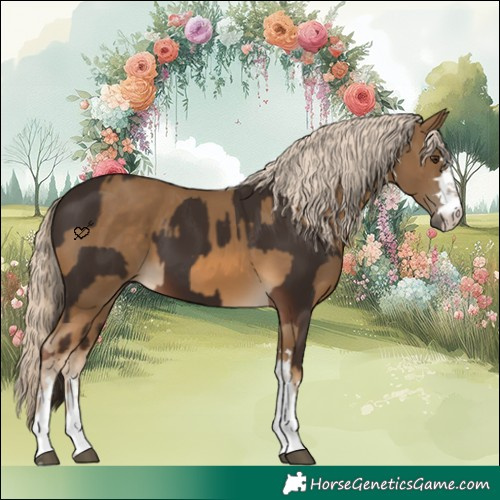 Horse Color:Liver Chestnut and Chocolate Palomino