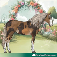 Horse Color:Liver Chestnut  and Chocolate Palomino 