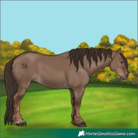 Horse Color:Liver Red Dun  and Liver Red Dun 